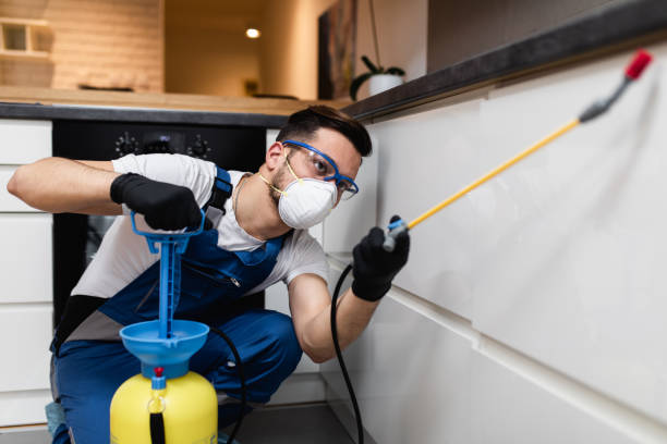 Wasp Removal Services in Pennside, PA