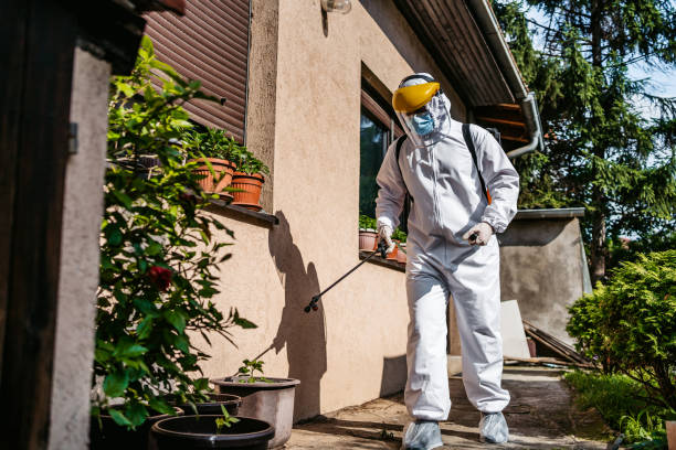Best Local Pest Control Services  in Pennside, PA