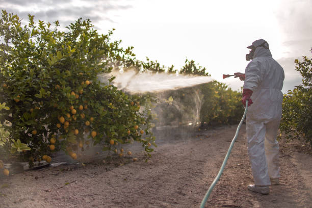 Best Exterminator Services  in Pennside, PA