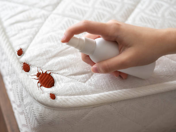 Pest Prevention Services in Pennside, PA